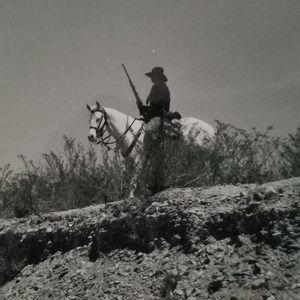 Meet your Posher, Wd